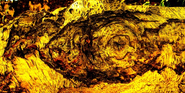 Fish Cave