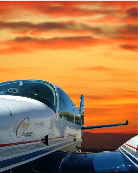 Flying at Sunset