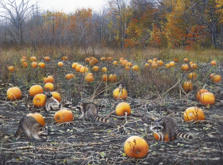 Pumpkin Bandits