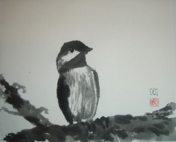 Carolina Chickadee