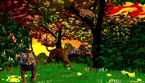 Wildlife In The Bush