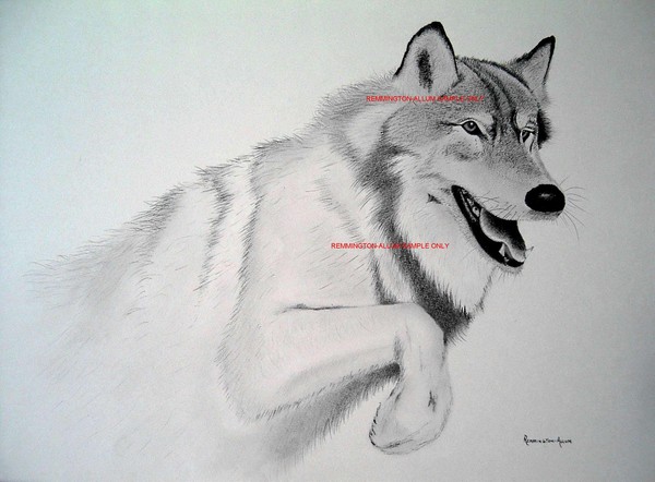 Wolf