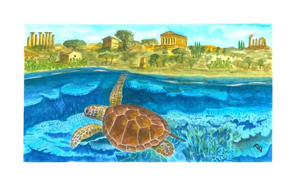 Sea turtle 5 - Return to beach