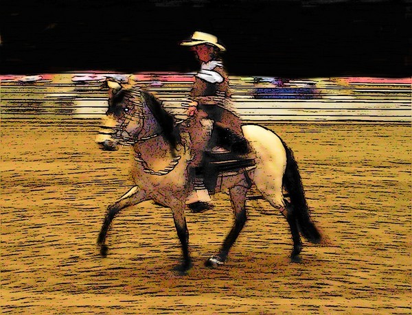 peruvian_paso_1