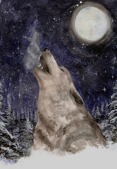lobo