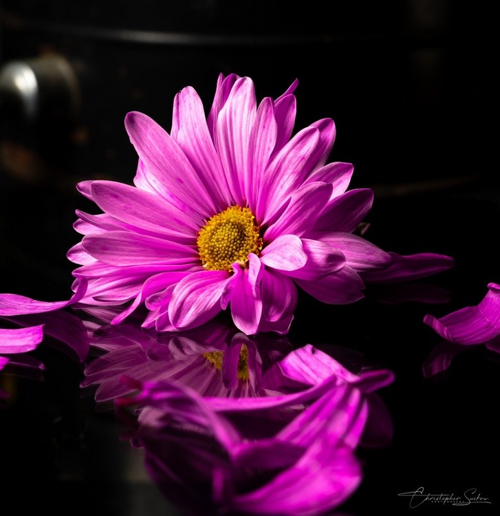 Reflections