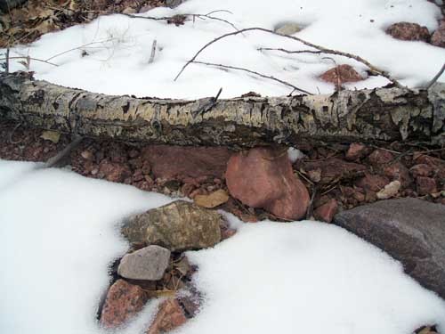Horizontal Winter
