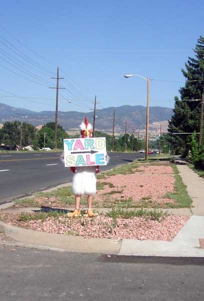 The Chicken Points the Way