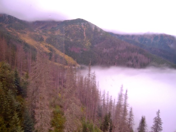 Bathe in clouds