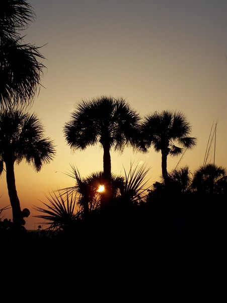 Siesta Sunset