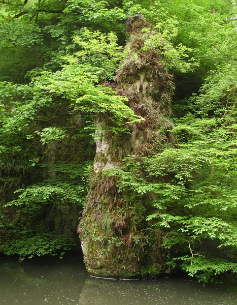 Pike Pool