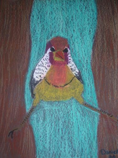 Little Yellow Bird