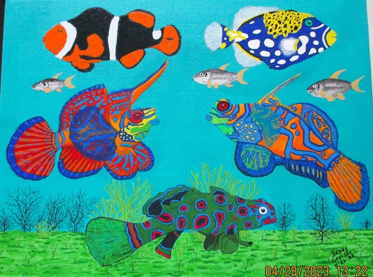 Fish of Colors