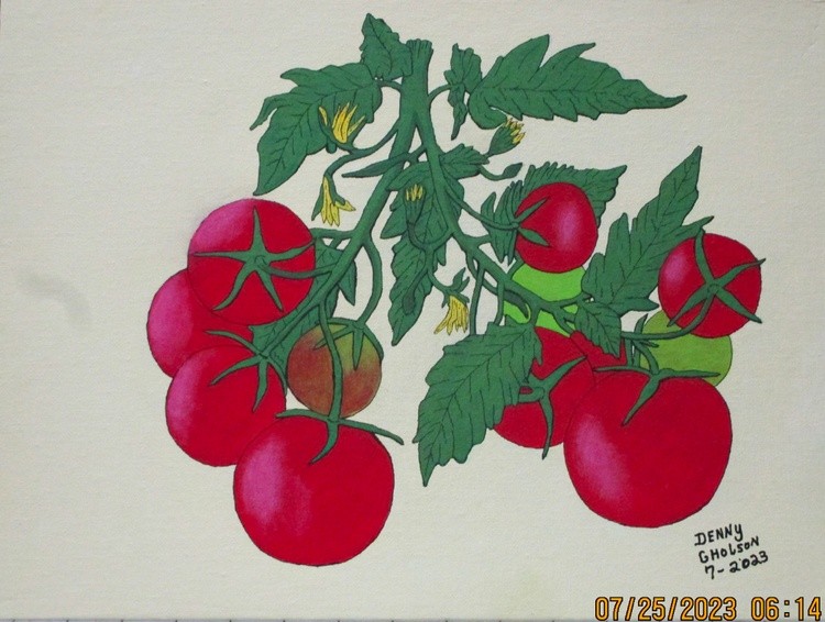 Tomato 