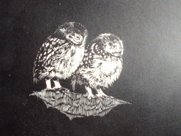 owlets
