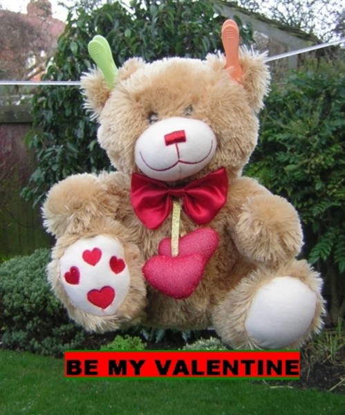 BE MY VALENTINE BEAR