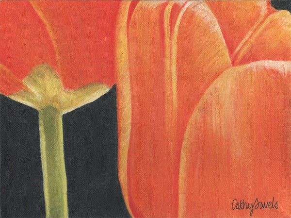 orange tulips