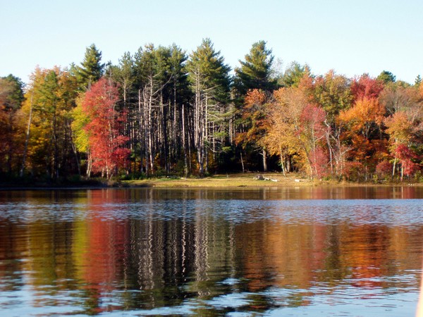Fall day 5