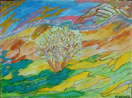Desert Tree