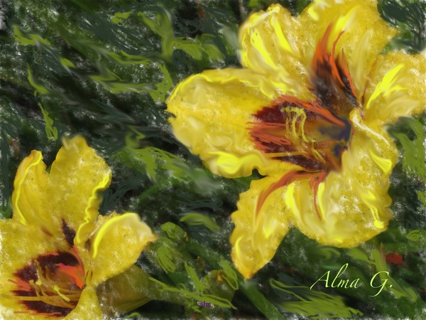 Yellow Lily
