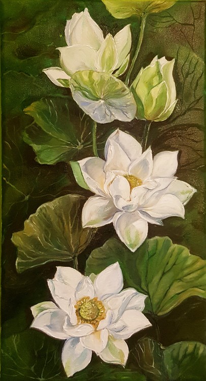 Water Lily