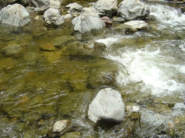 Kahuterawa Stream