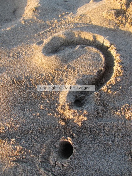 I think the sand is talking to me