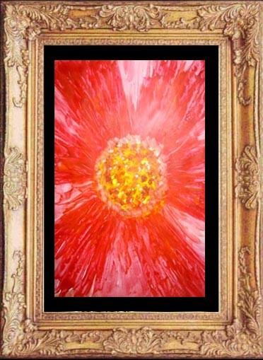 blooming flowers