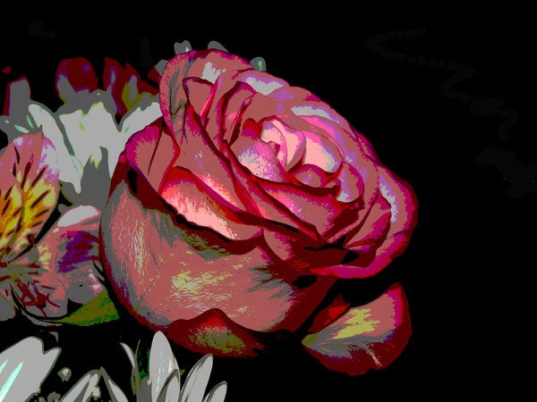 ABSTRACT ROSE