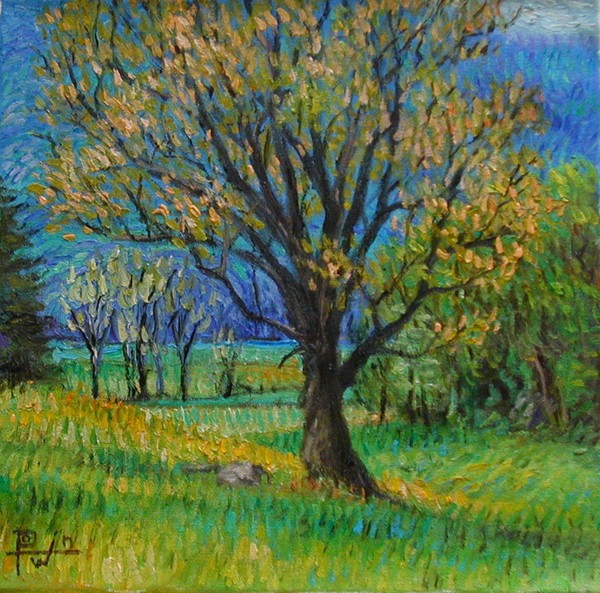 Ozark Spring