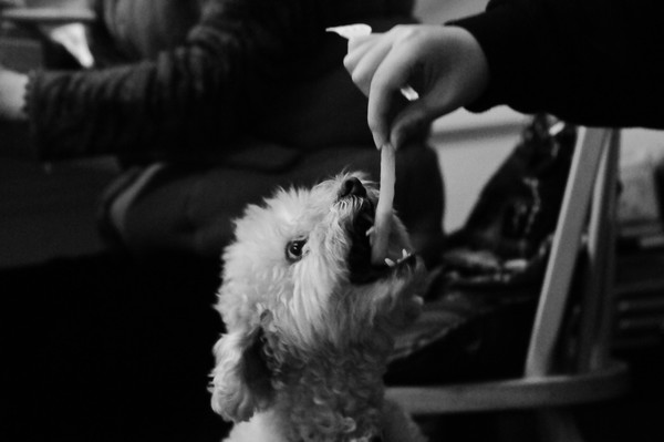 French fry please