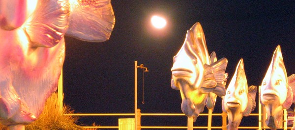 Moonglow
