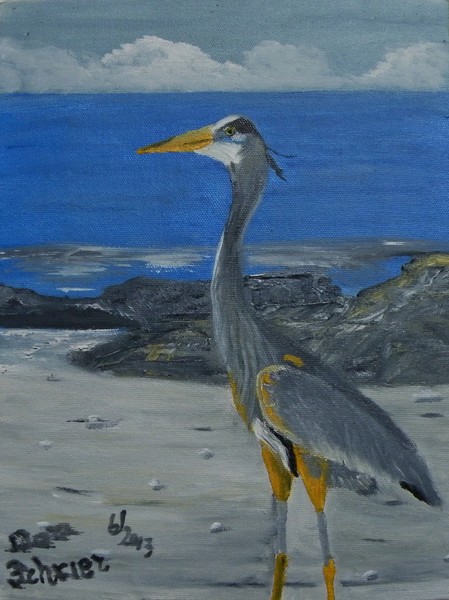 Great Heron on Rocky Beach