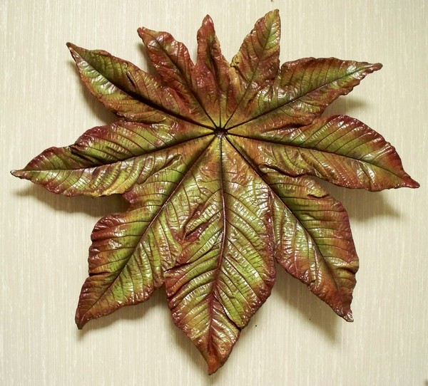 Castor Bean Leaf
