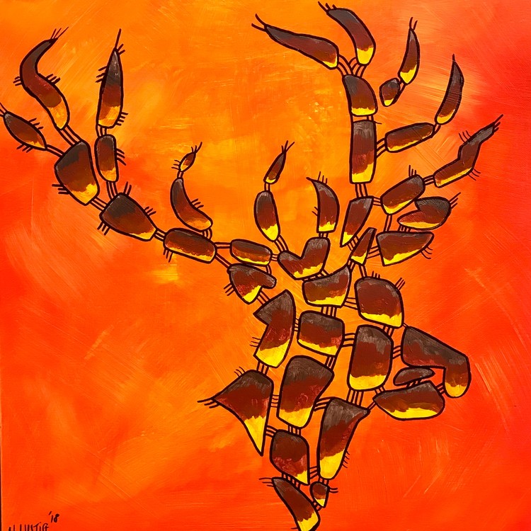 Deer
