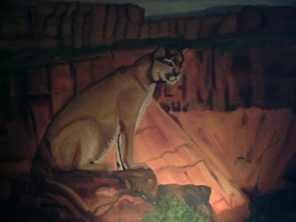mountain lion in thought