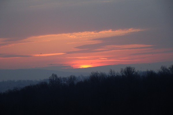 sunrise