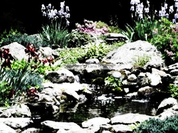 water garden