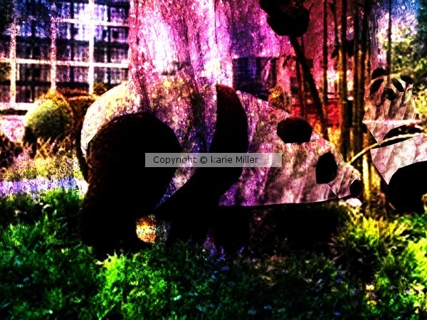 menagerie 3