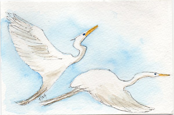 Flying Egrets Greeting Card