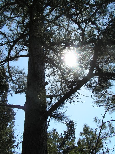 Light coming through