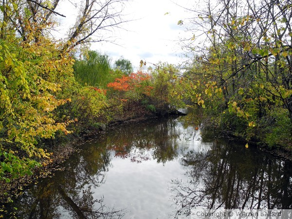 Mystic River Feeder