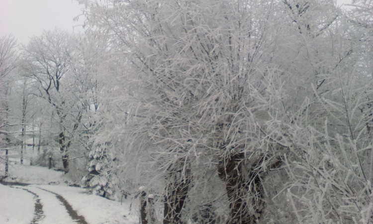Landscape in frost