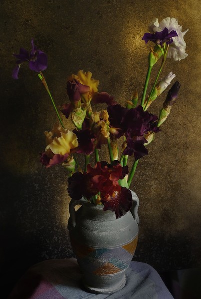 Irises