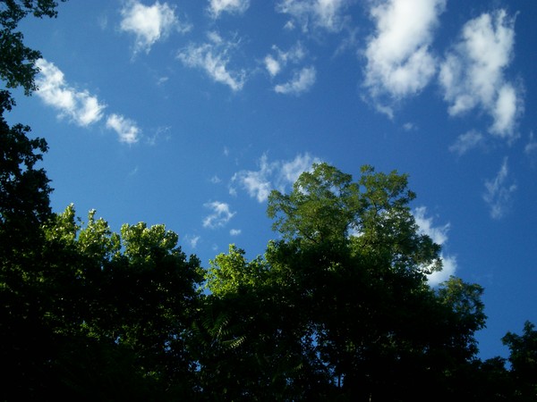 West Virginia Skies