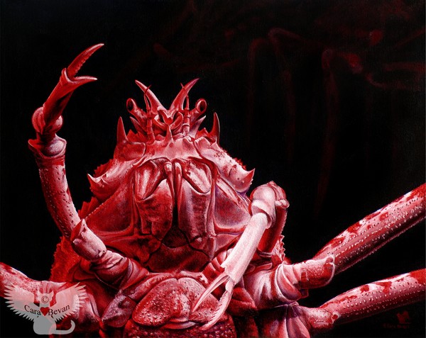 Crustacean Salutation