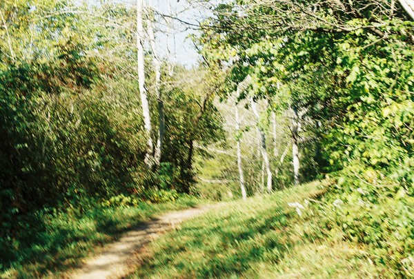 Wisconsin Trail