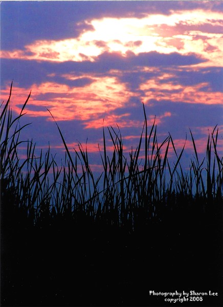 Dusk at the lake