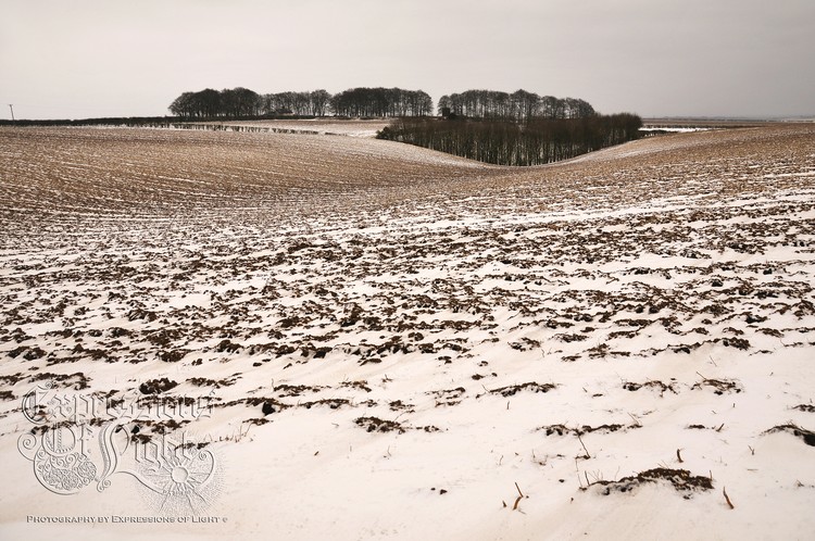 ExpoLight-The-Lincolnshire-Wolds-Winter-18-03-2018-0035 (SP)