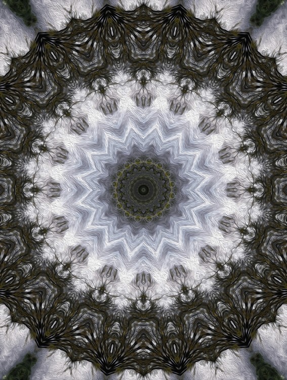 Painted Kaleidoscope 16